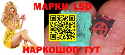 крисы Краснознаменск