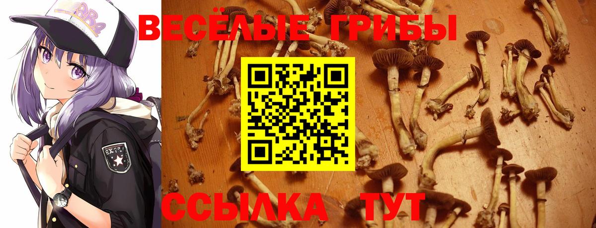 Галлюциногенные грибы ЛСД  Вход с VPN  Кемерово 